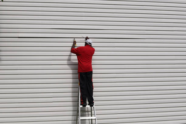 Best Custom Trim and Detailing for Siding  in Manitou Springs, CO